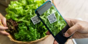 Información en el Etiquetado de los Alimentos
