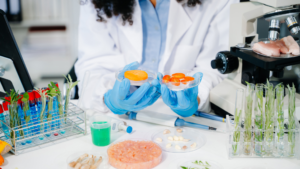 Cómo innovar con propósito en la industria de los alimentos