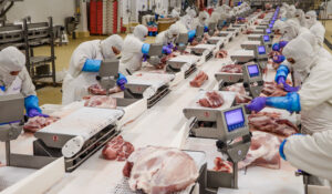 La flexibilidad de la transformación en la industria alimentaria